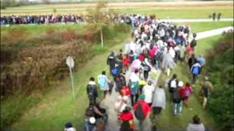 Refugees rushing across green-belts from Croatia into Slovenia 23 October 2015